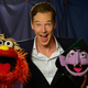 Murray, Benedict Cumberbatch, The Count (Photo: PBS)